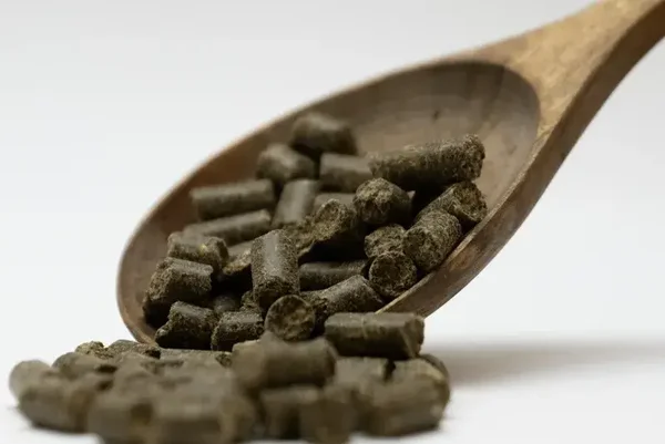 PURE Hempseed pellets per 5 kg ( herverpakt in emmer)