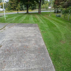 front-yard-east-side-standard.jpg