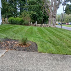front-yard-west-side-standard.jpg