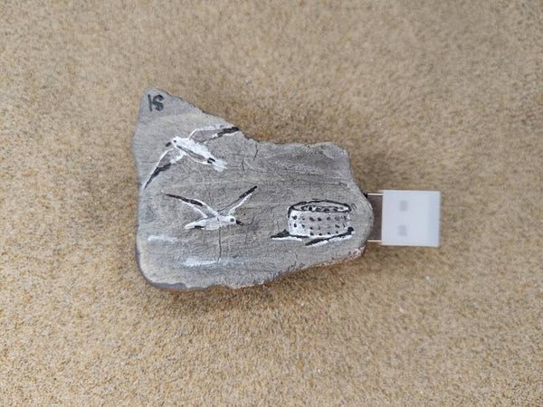 peinture sur écorce de bois flotté (clef USB)