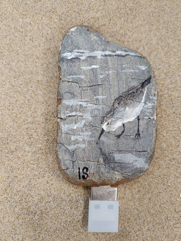 peinture sur écorce de bois flotté (clef USB)
