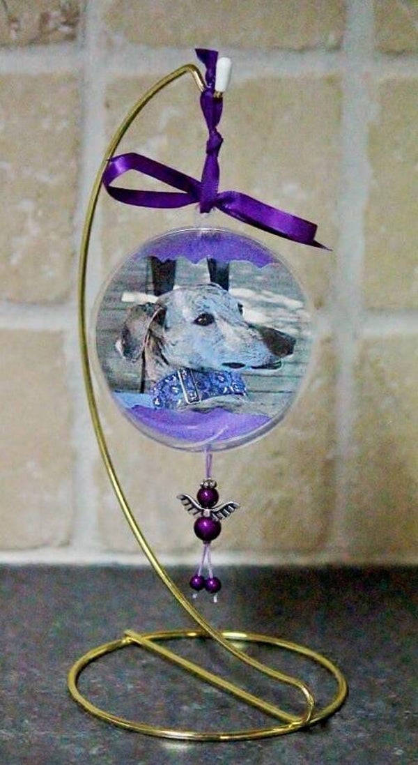 Fotobal met staander