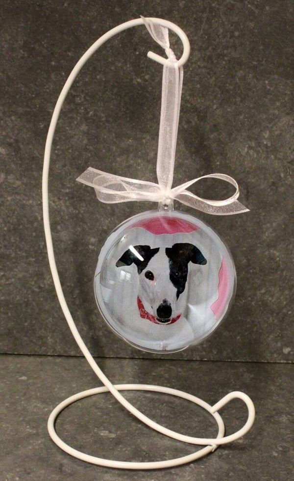 Fotobal met staander