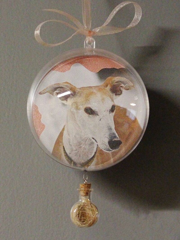 Fotobal met memory flesje voor haartjes of as