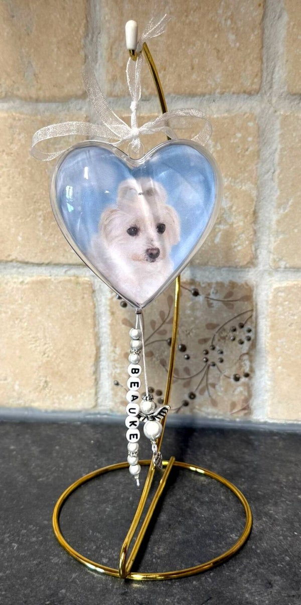 Fotohart met staander