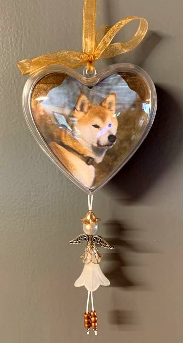 Fotohart met Aski-feetje