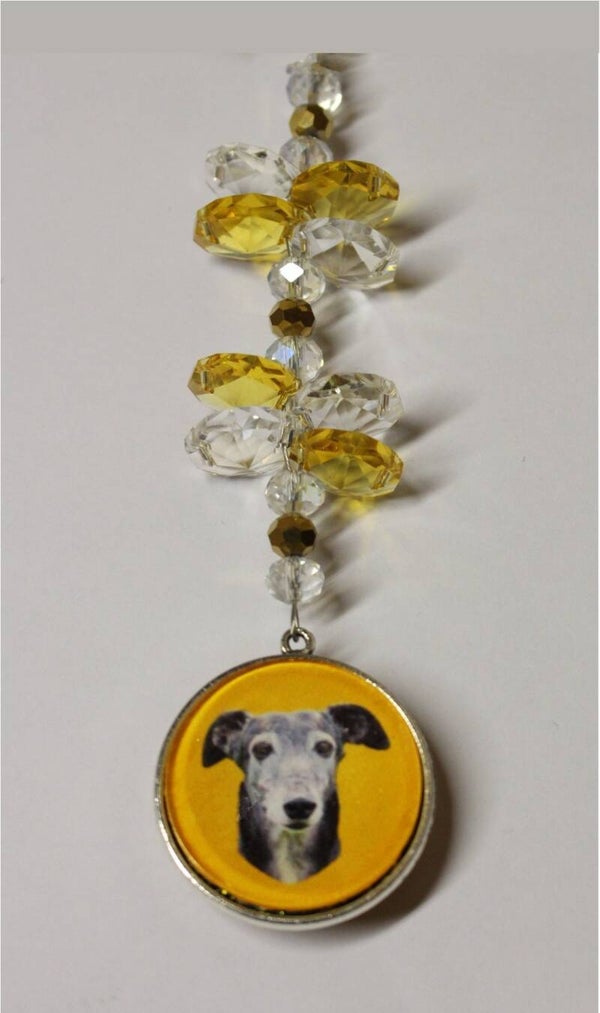 Blinghanger met foto (kort)