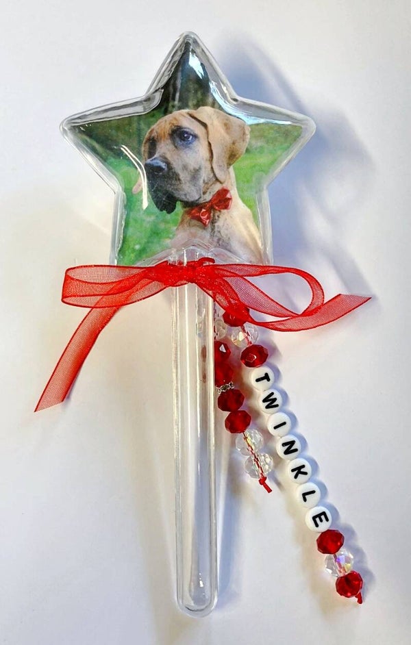 Memory ster met foto