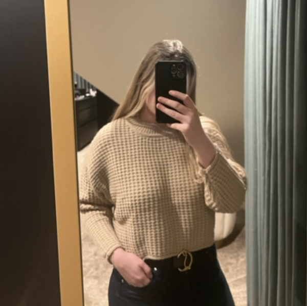 Cropped Sweater - Brown