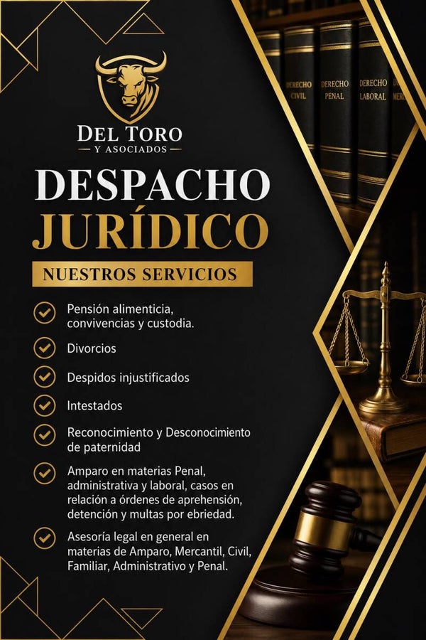 DESPACHO JURIDICO