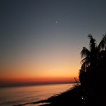20190730_060752.jpg