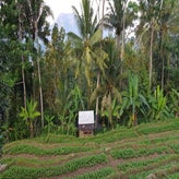 20190725_072432.jpg