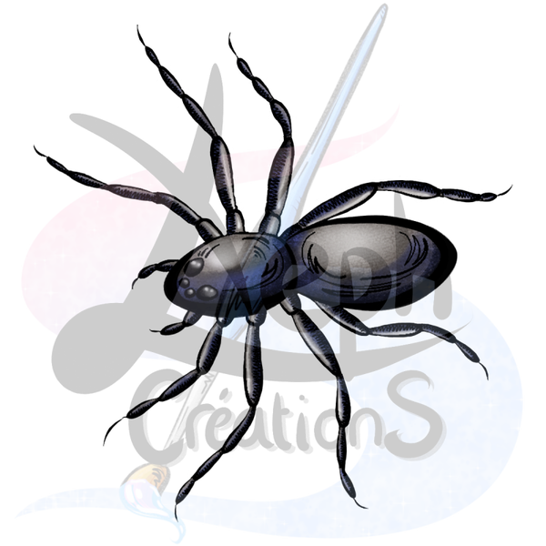 🕷️ Araignée noire