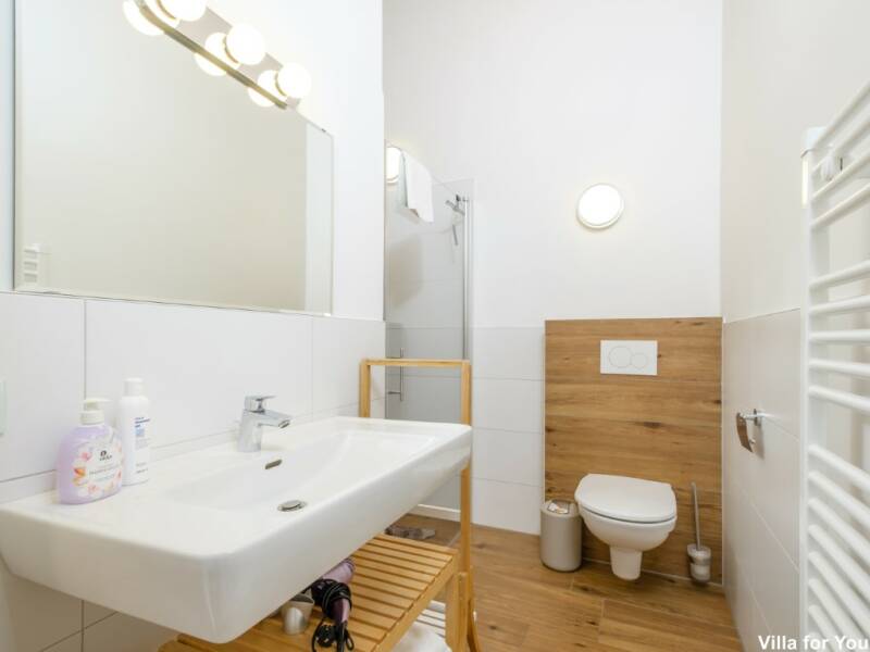 Badkamer met regendouche in Penthouse Hochkönigblick Werfenweng in Salzburgerland.
