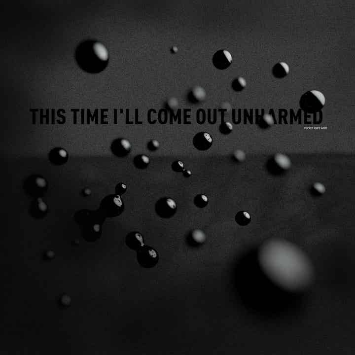 This Time I'll Come Out Unharmed (VINYL)