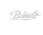 Bidetness Bidets
