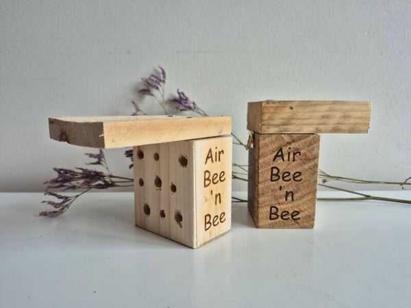 Air Bee 'n Bee - small