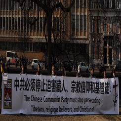 dsc_0007-standard.jpg