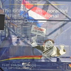 dsc_0041-standard.jpg