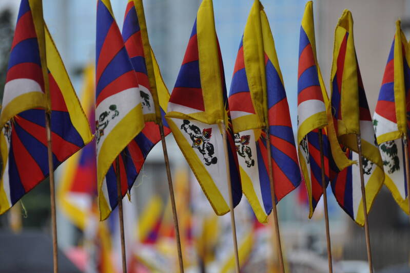 Tibetaanse sneeuwleeuwen vlag