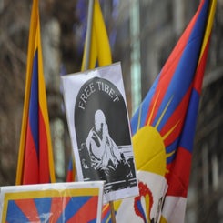 dsc_0124-standard.jpg