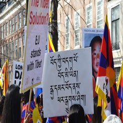 dsc_0149-standard.jpg
