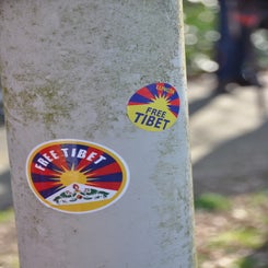 dsc_0243-standard.jpg