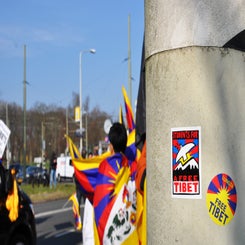 dsc_0260-standard.jpg