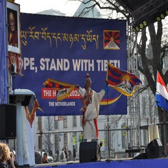 dsc_0310-standard.jpg