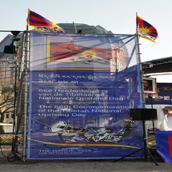dsc_0347-standard.jpg