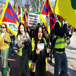 dsc_166-standard.jpg
