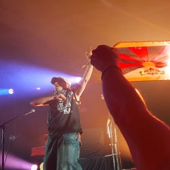 manu-chao-standard.jpg