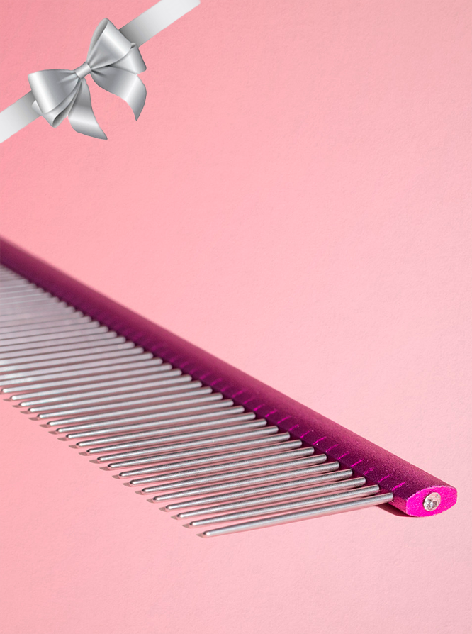 POMERANIAN BEAUTY KAM