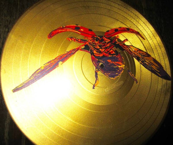 Bedruckte LPs - verschiedene Motive