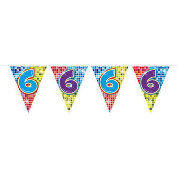 S49 Mini Vlaggenlijn 6 jaar