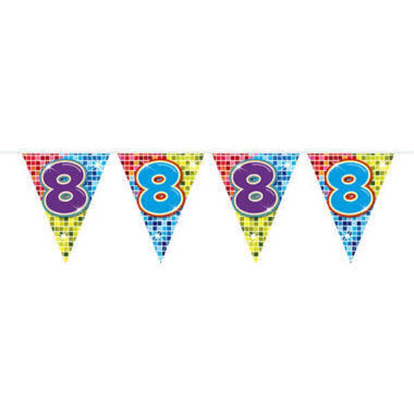S51 Mini Vlaggenlijn 8 jaar