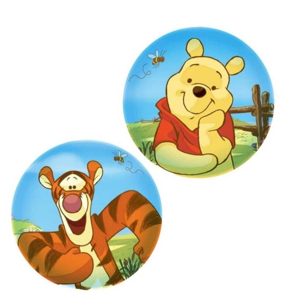 FBD16 Winnie the poeh en tijgertje