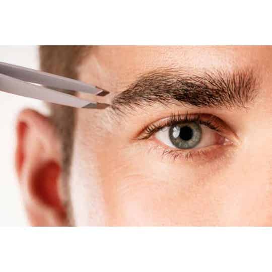 SOURCILS ENTRETIEN