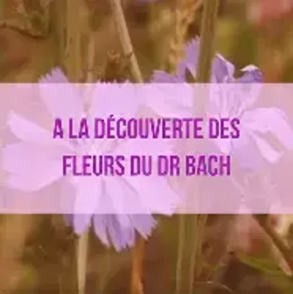 Rééquilibrage Emotionnel et énergétique + Elixir Floral personnalisé