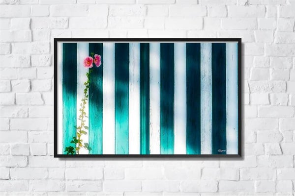 ‘Stripes and flowers’