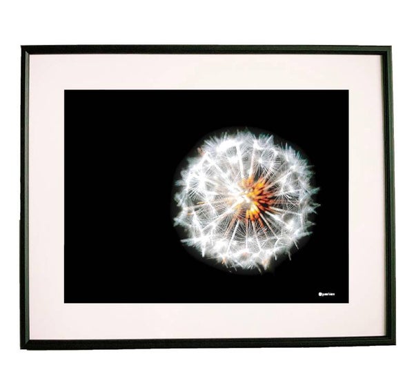 Poster framed ‘Fluff Ball’ 40x50