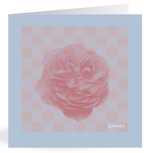 Wenskaarten - 'Flowers' : pakketje van 5 kunstkaarten.