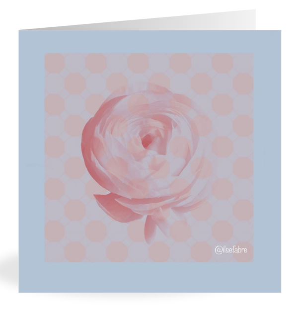 Felicitatiekaart - 'Flowers Rose' : pakketje van 5 kunstkaarten.