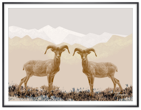 Poster Rams passe-partout