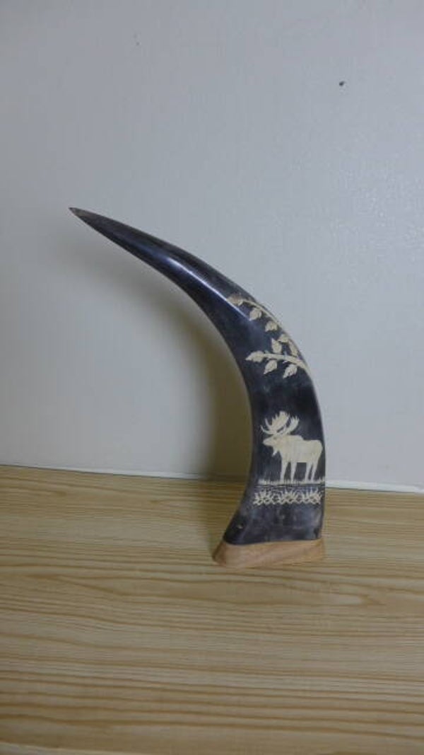 Büffelhorn 36cm hoch mit kunstvoller Schnitzerei
