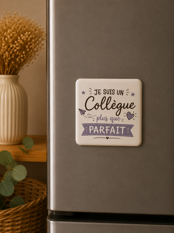 Magnet “Je suis un collègue plus que parfait” – Cadeau original et plein d’humour