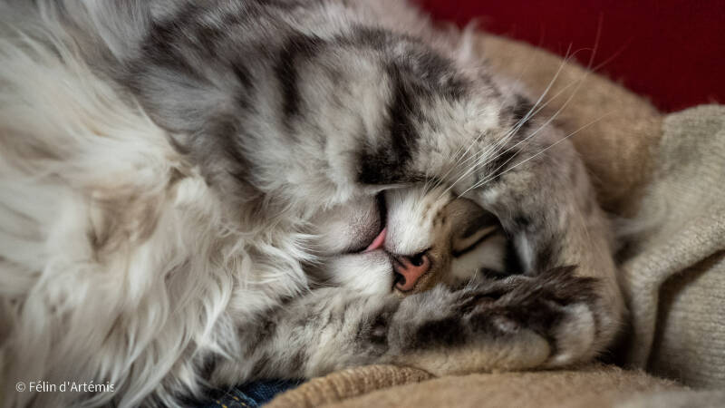 Gshanga - 30 octobre 2020