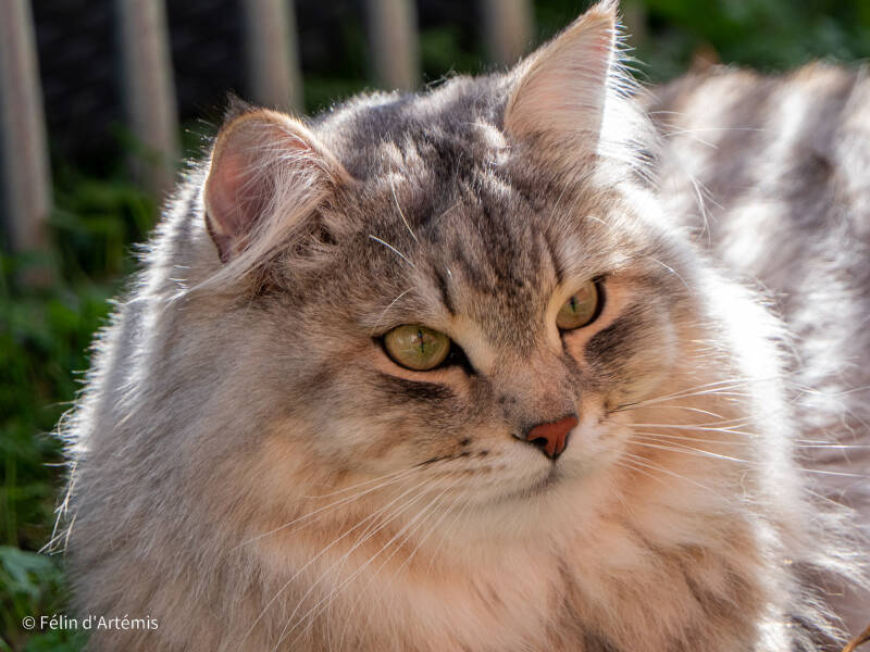 Gshanga - 29 août 2021