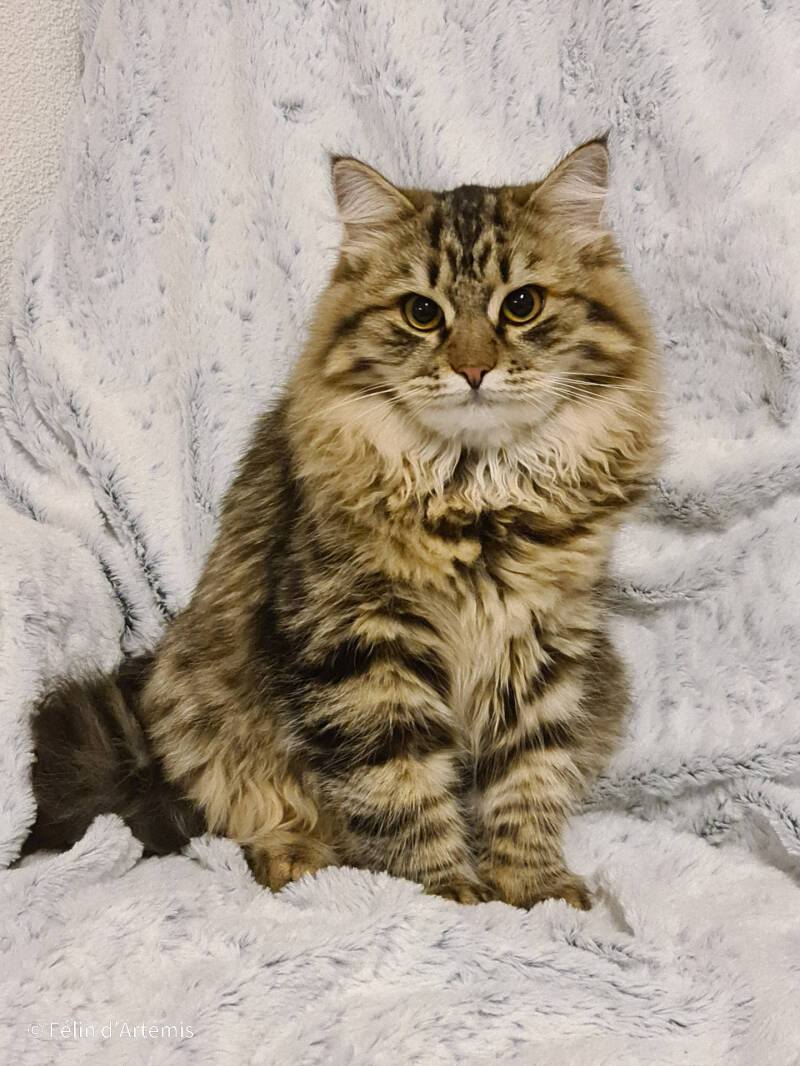 Heaven - 19 novembre 2021