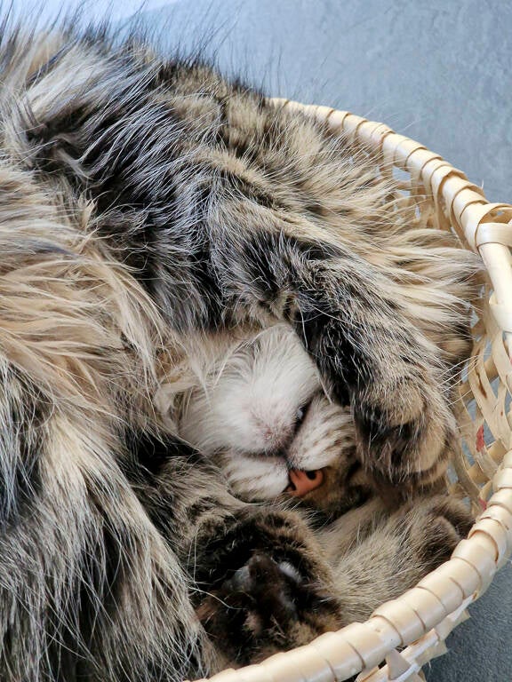 Heaven  -Juillet 2022